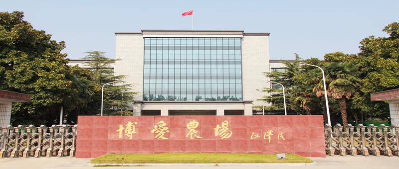 持續(xù)加壓 周密部署  有序開(kāi)展企業(yè)增產(chǎn)、農(nóng)業(yè)復(fù)產(chǎn)工作 ——博農(nóng)集團(tuán)召開(kāi)增產(chǎn)復(fù)產(chǎn)、疫情防控專(zhuān)題工作會(huì)議